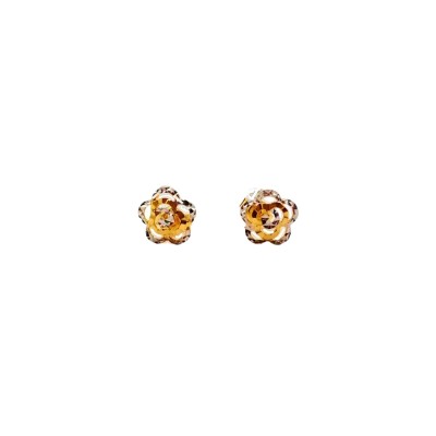 BUNGA PAKU earring