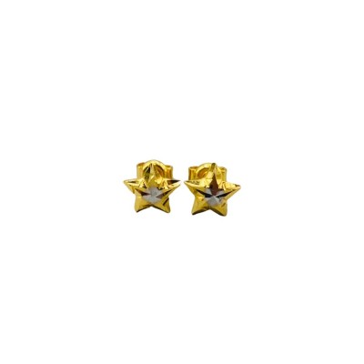 PAKU BINTANG earing